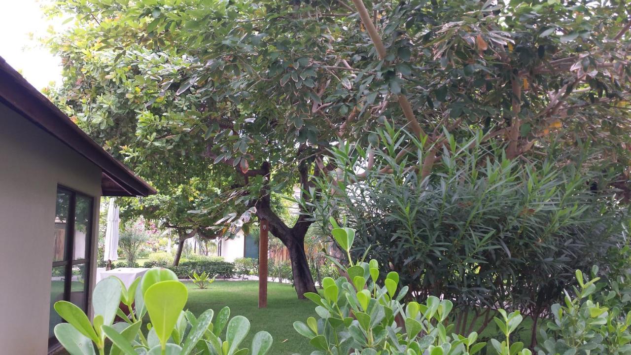 Carneiros Beach Resort Tamandaré Eksteriør billede